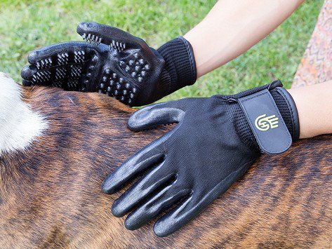 Best grooming gloves sale