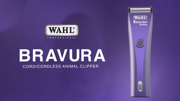 Wahl bravura store