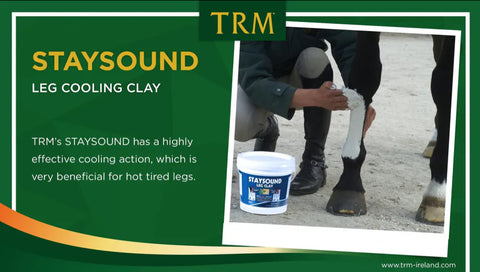 Stay Sound Clay Poultice