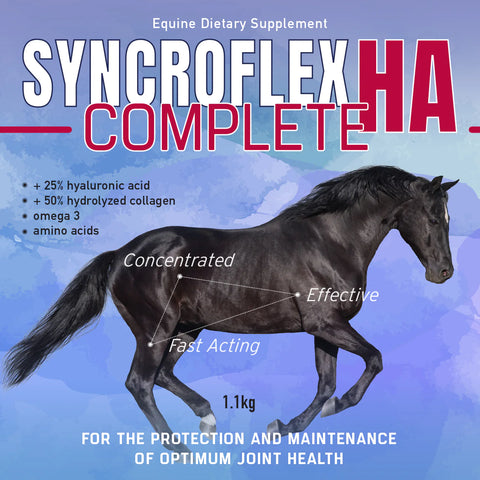 SYNCROFLEX HA COMPLETE