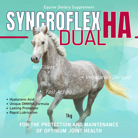 SYNCROFLEX DUAL HA POWDER