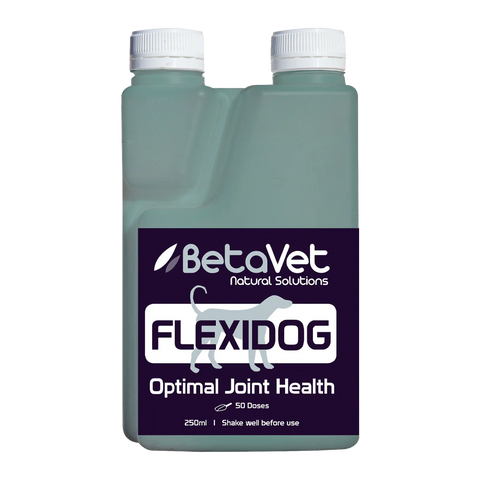 BetaVet  Flexi Dog