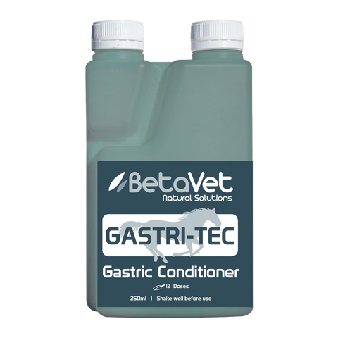 BetaVet GASTRI-TEC