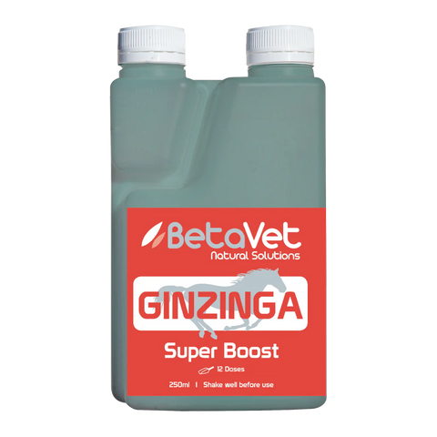 BetaVet GINZINGA